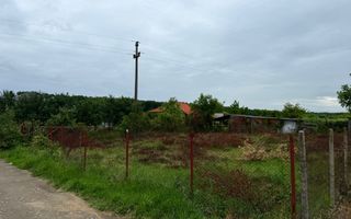 Teren Intravilan Padurea Noroieni - Poză 4