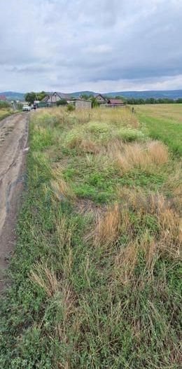 Teren intravilan de vânzare în Holboca – Preț negociabil - Poză 1