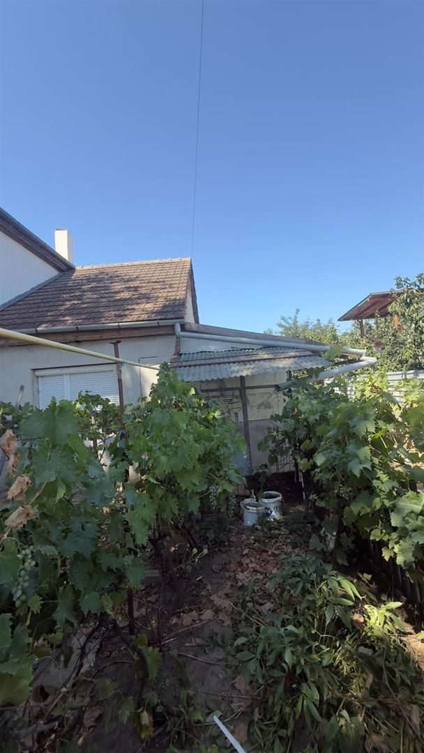 Casa Santandrei din caramida 250 mp teren - Poză 4