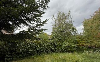 Casă complet renovată, pentru locuință sau pensiune turistică! - Poză 19