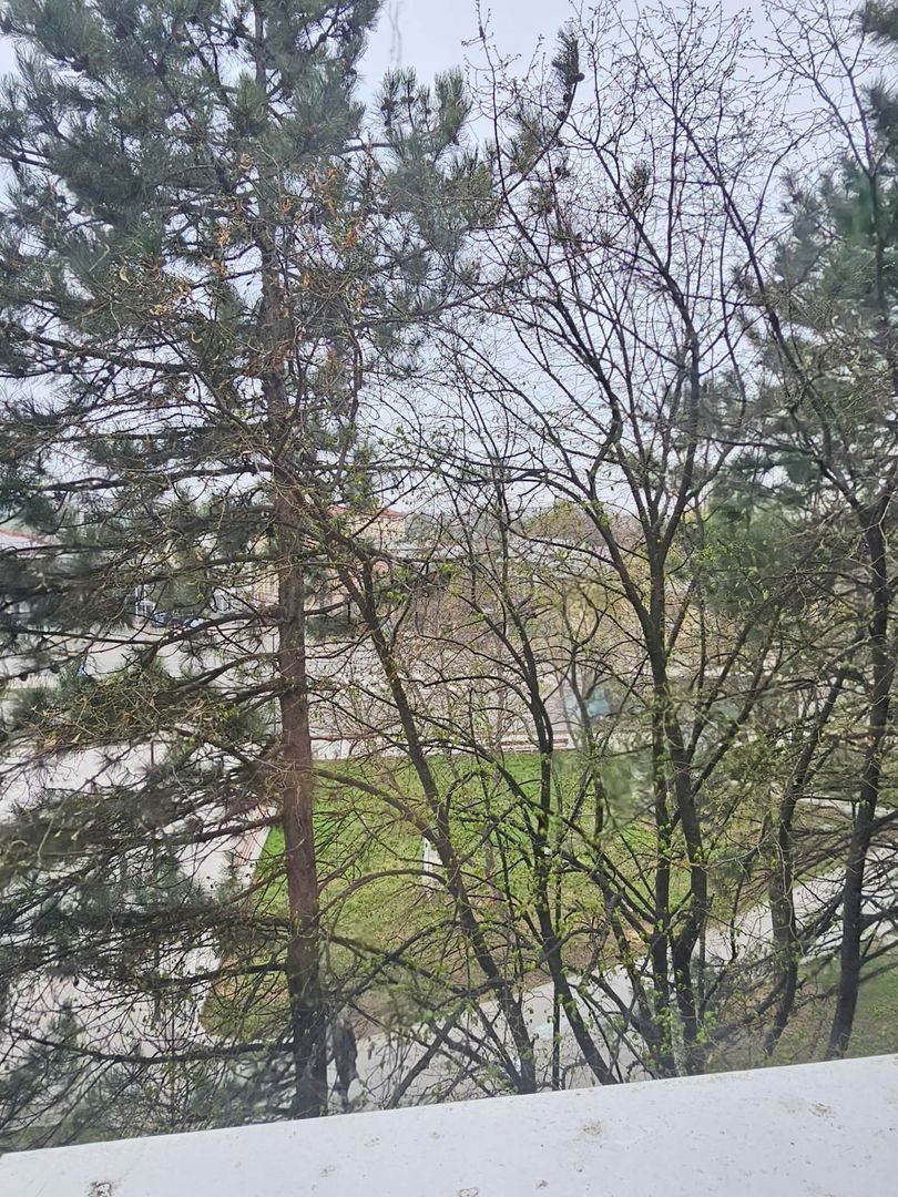 Actualizare oferta  - 69.500 euro - Apartament cu 4 camere, Mazepa 1 - Poză 8