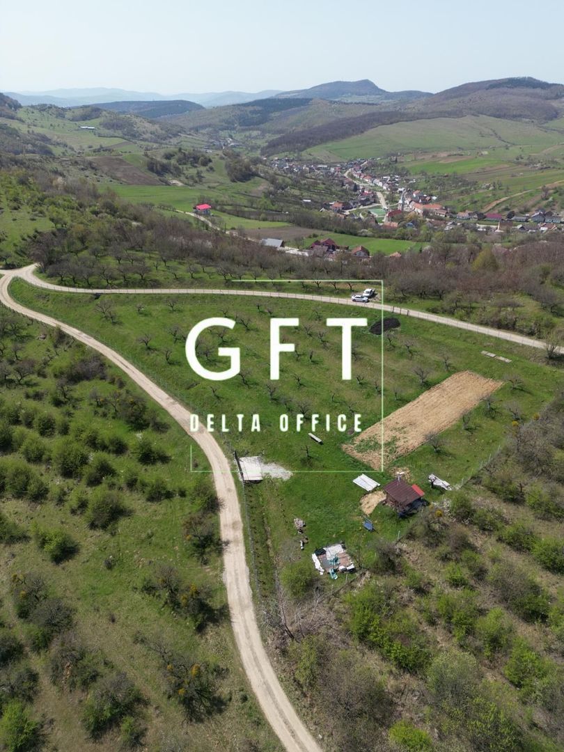 Teren 4850 mp - EXTRAVILAN - Slatinita - Poză 3