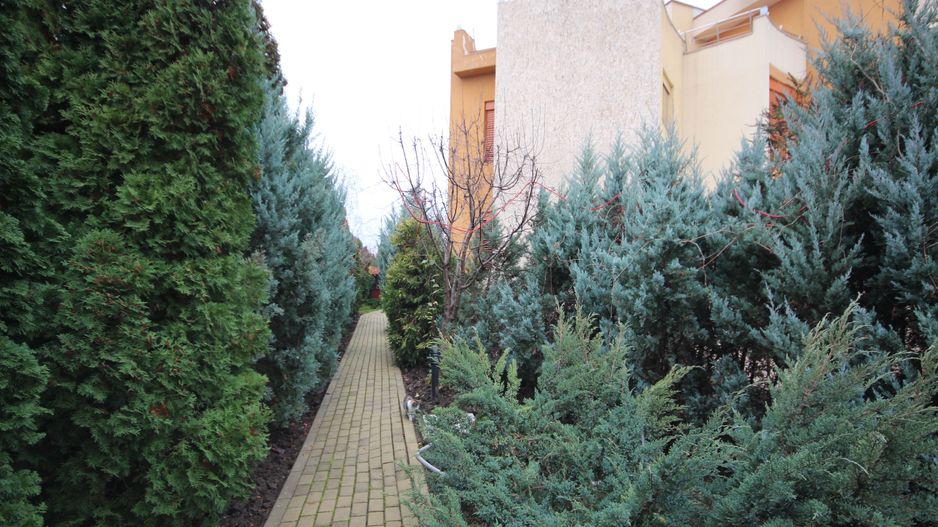 Casa pretabila birouri, camin de batrani - Poză 136