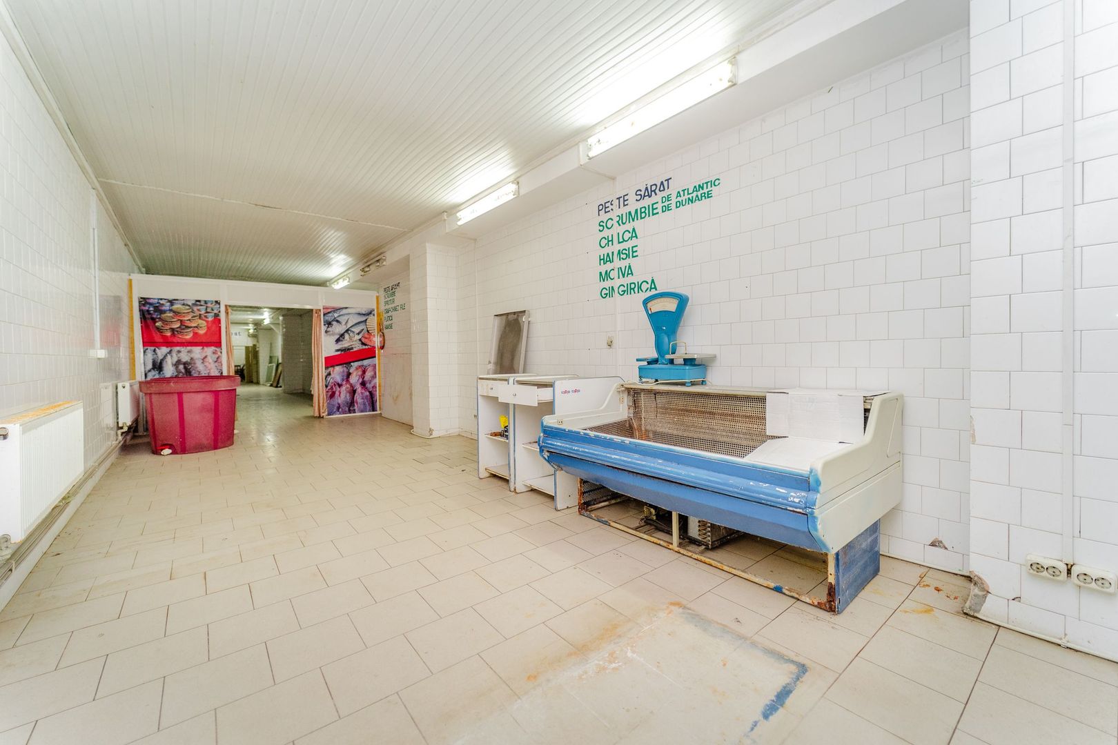 Chirie I Spațiu Comercial I 177 m2 I Ciocana I Ginta Latină 18 I Pieței Agromondial - Poză 12