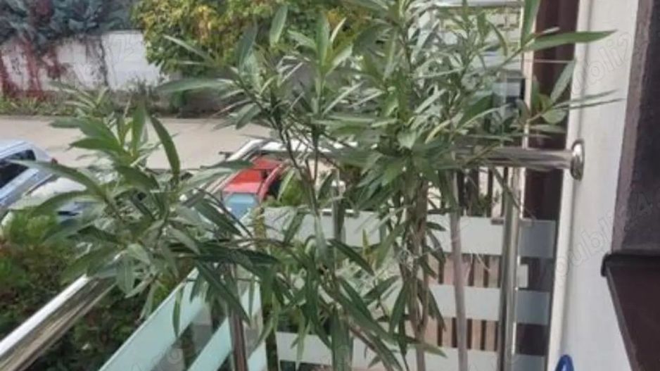 De vanzare casa triplex P+1+Pod, Bragadiru - Poză 10