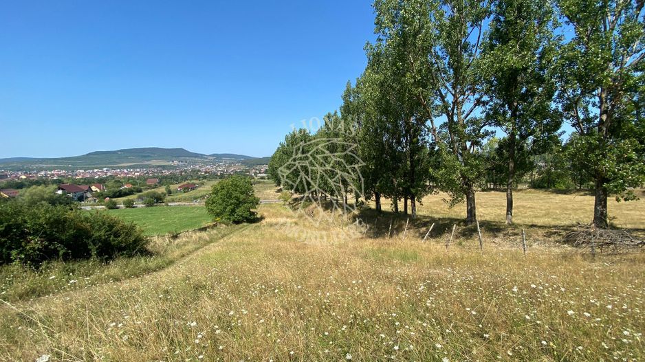 Teren intravilan 2600 mp - pretabil casa/investitie-Zona Aerodrom - Poză 2