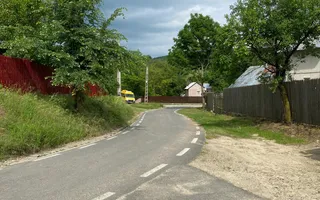 Domeniu 15.900 mp în Fințești | Casă + Investiție Dealu Mare - Poză 22
