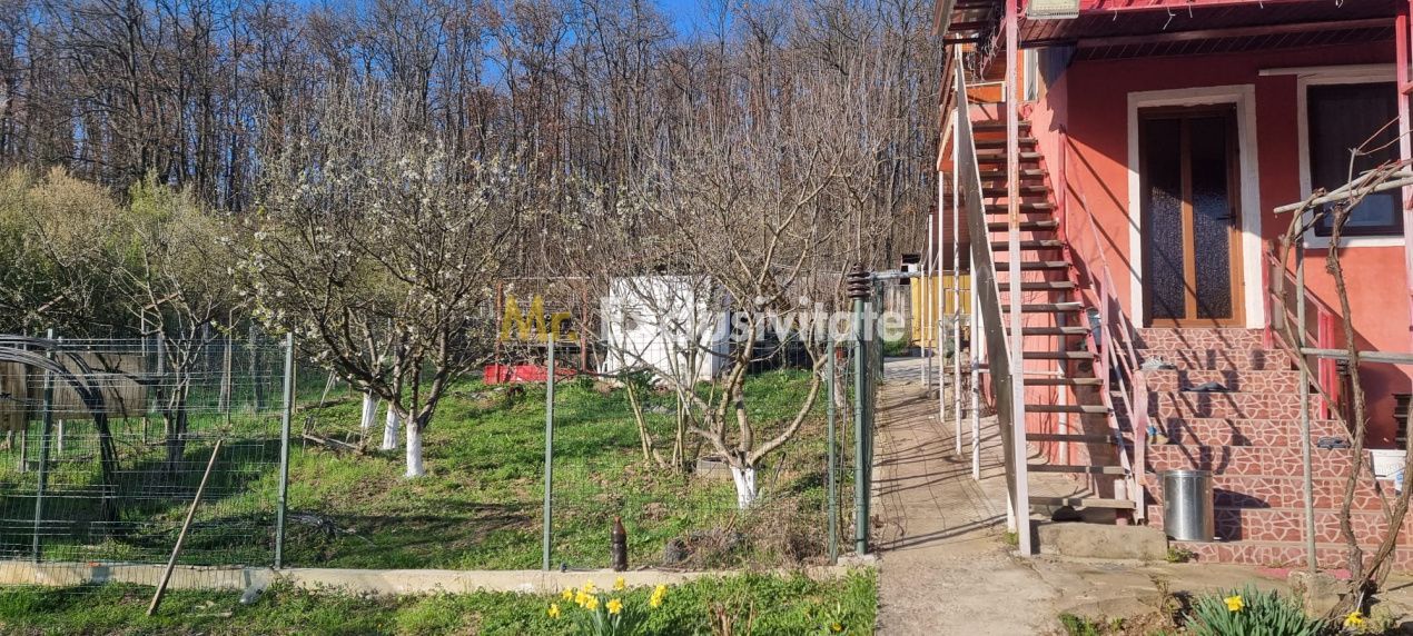 Casă P+M cu 1.558 mp teren, livadă și garaj - Poză 12