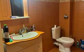 Vila S+P+1+M Lapus, str Paunitei - Poză 58