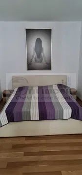 Apartament 3 camere TG. CUCU independentei -650 euro - Poză 4