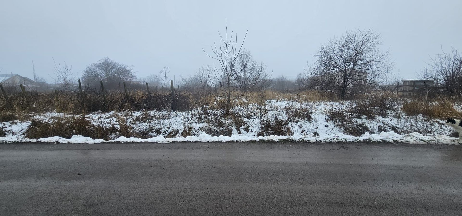 Exclusivitate MAG Invest – Teren 2300 mp Vanatori, ideal investitie - Poză 1