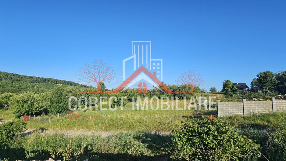 Teren extravilan 1300 mp - Poză 3