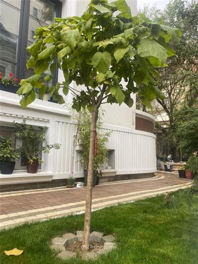 Vila exclusivistă Arcul de Triumf, reper Clucerului - Poză 6