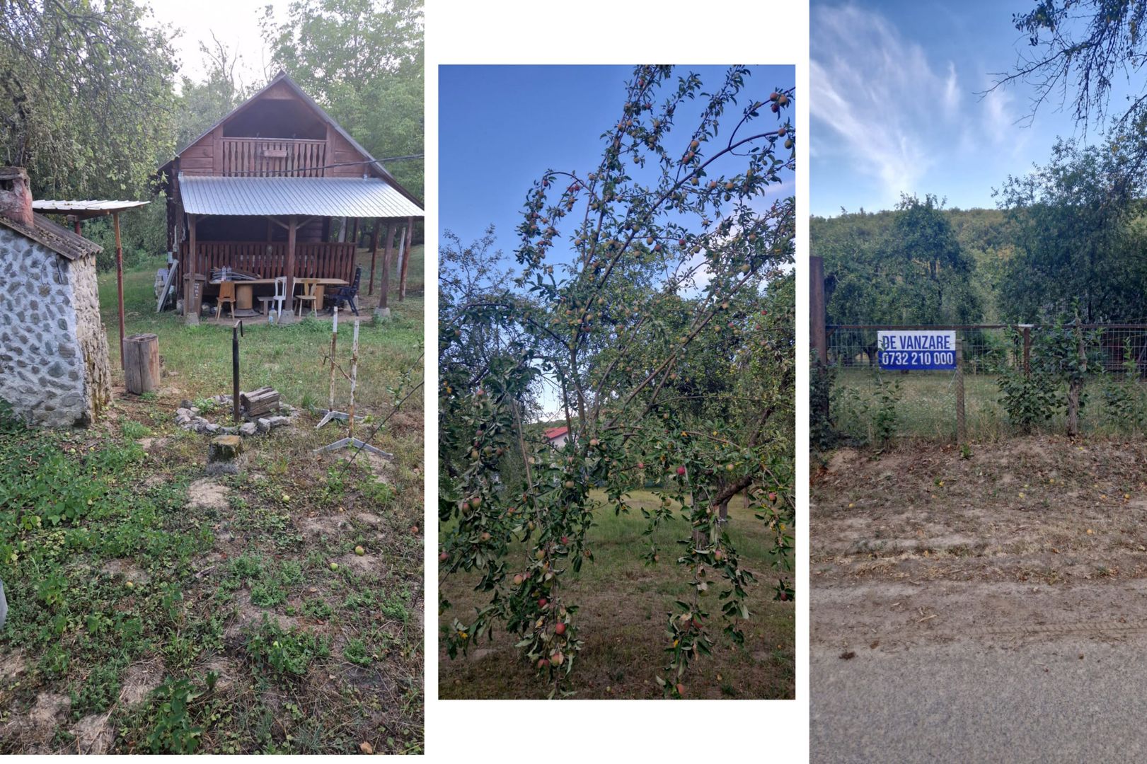 Teren de vacanță 5600 mp cu cabană, Utilitaiile Căsoaia jud Arad - Poză 3