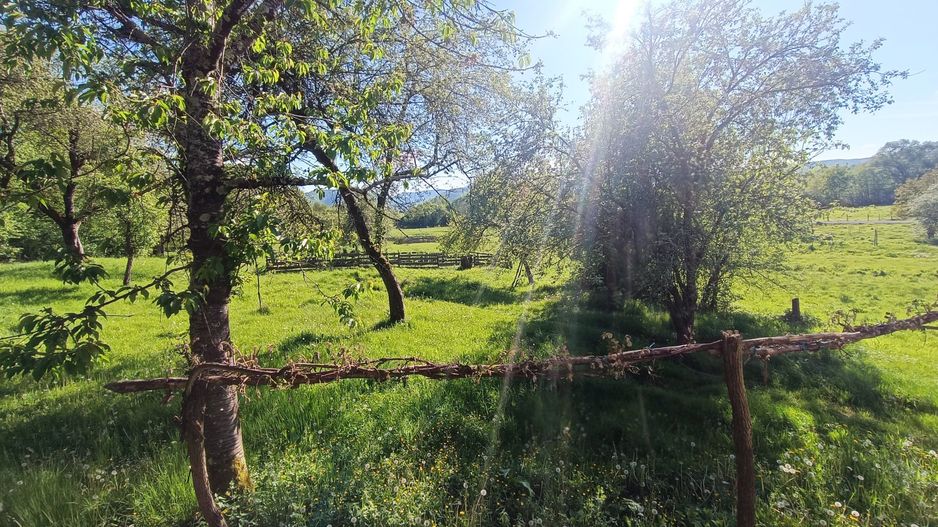 Descoperă căsuța ta de vis la poalele Munților Apuseni - Poză 6