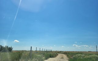 Teren 10.000m2 intravilan Balotesti langa Cartierul LUNA - Poză 4