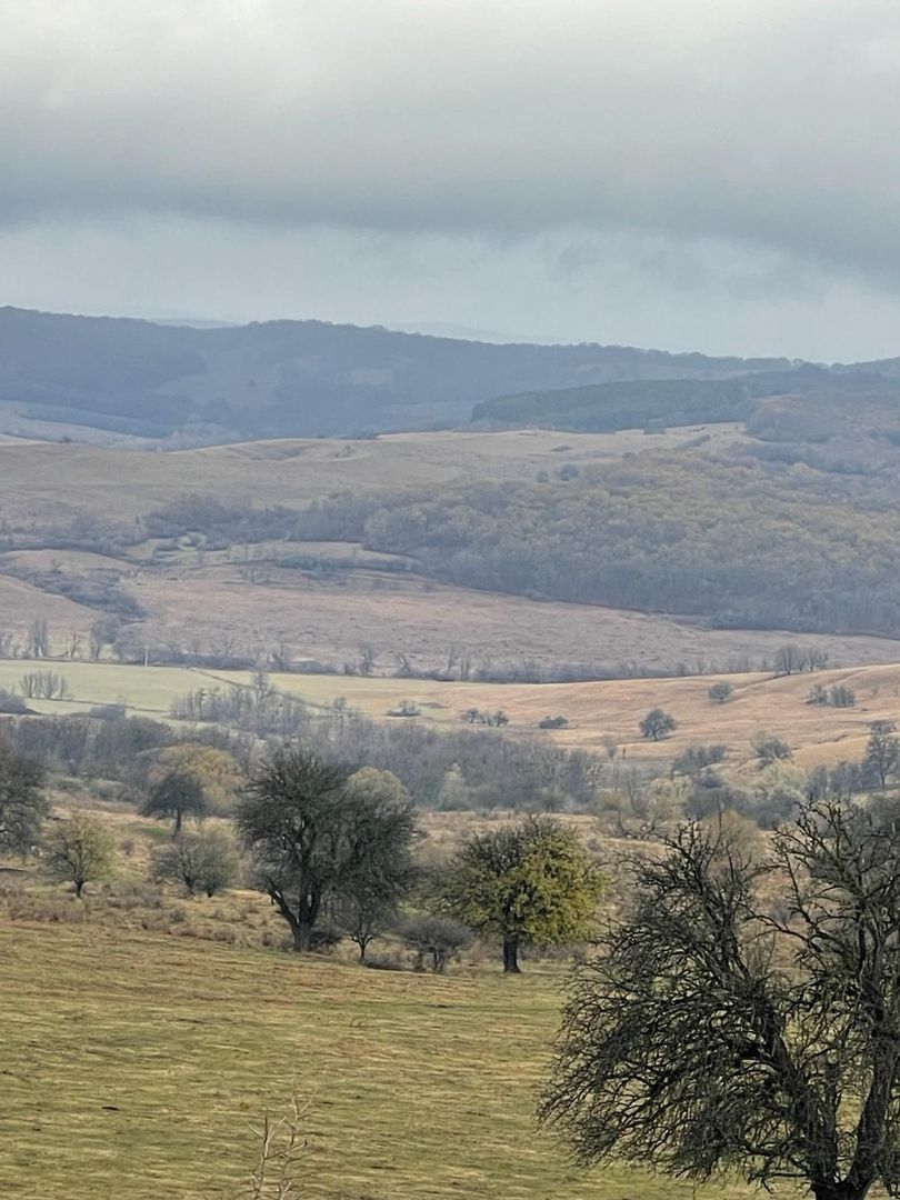 Ferma cu teren de 200 hectare - Poză 8