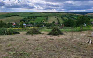 Teren intravilan 869 mp - Poză 3