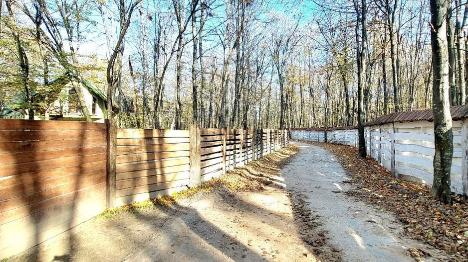 50 ari de Teren forestier si de recreere in Codri!! - Poză 4