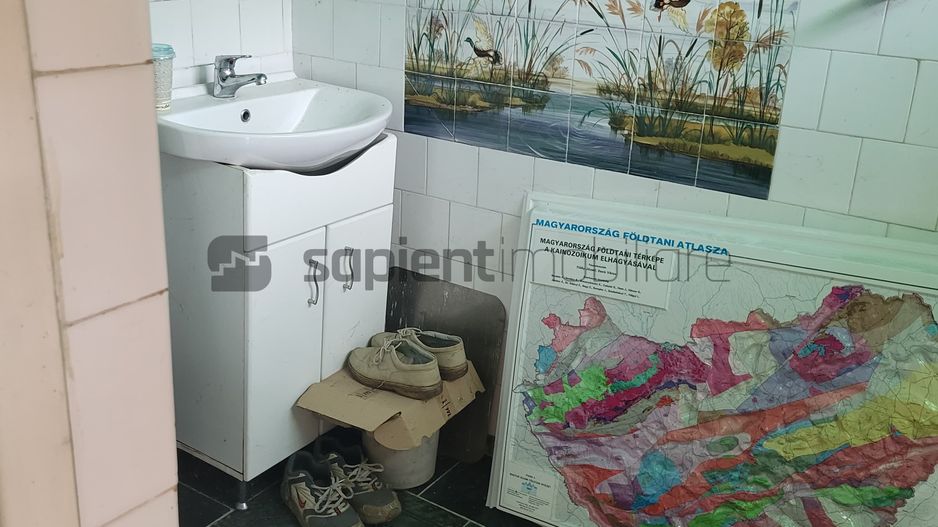 Casa de vanzare pentru 2 familii 5 camere 482mp - Poză 11