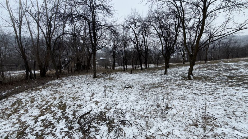 Teren 4652 mp cu izvor pe el, Lunca Mare, lângă păstrăvăria Doftana - Poză 9