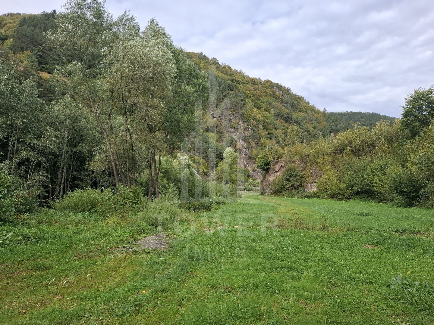 Teren Intravilan de Vânzare – 3622 mp – Râu Sadului - Poză 10