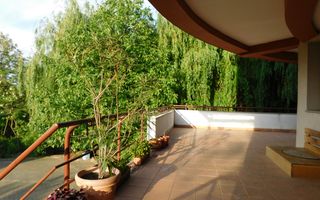 Vilă cu 1.350 mp teren în mijlocul orașului Grădina Botanică - Poză 16