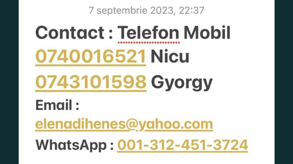 Ocazie Unica-2 Case+1 loc teren - Poză 2