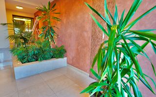 Apartament 3 camere - Bellevue Drumul Poienii - Poză 19