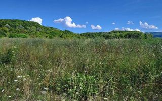 Teren intravilan 1.100 mp – Goranu 3km Rm.VL. acces facil +utilități - Poză 3