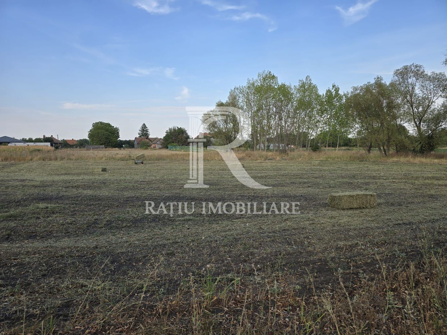 Teren intravilan 6.514mp | 39m front stradal | Ciocaia | Săcuieni - Poză 8