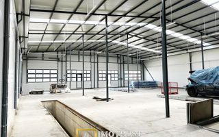 Spațiu industrial în Exterior Est, Arad - Poză 6