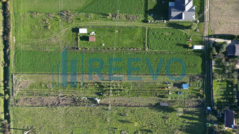 Teren 3.600 mp Lilieci - Poză 4