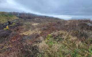 INVESTITIE TEREN  I  VAD COMERCIAL  I SUCEAVA  I  DRUM EUROPEAN 20ari - Poză 4