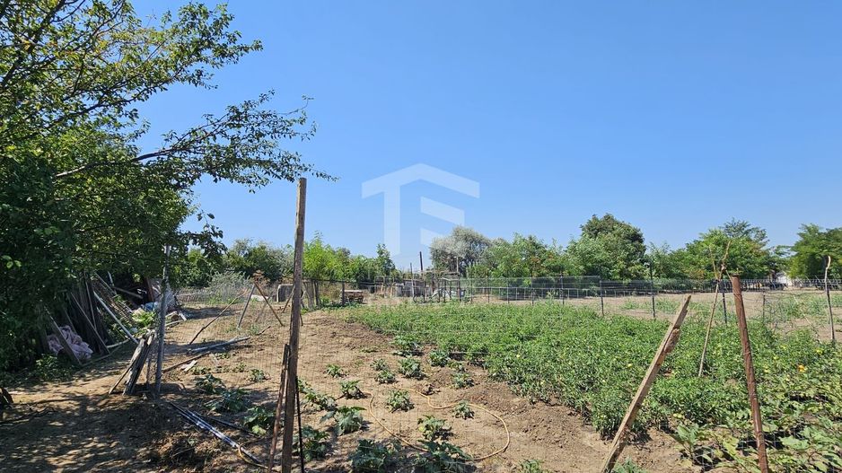 Teren intravilan 641 mp Eforie Nord – 38.000 € | Comision 0% - Poză 5