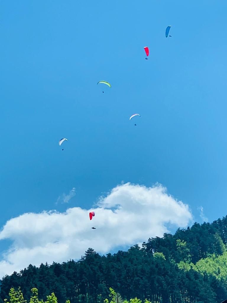 Teren cu priveliste superba - Poză 6
