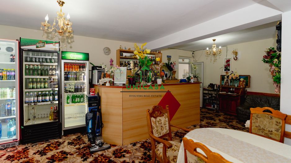 PENSIUNEA EVRICA - COSTESTI - HOREZU - VALCEA - Poză 26
