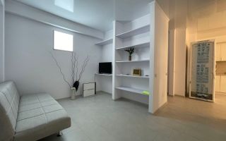 Chirie, apartament, 2 camere, strada Alexei Şciusev, Centru - Poză 4