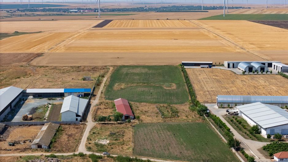 Cogealac - Tariverde – Ferma cu teren intravilan, utilitati racordate! - Poză 4