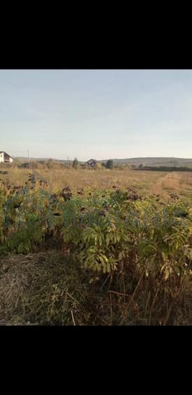Teren intravilan 5000 m² de vânzare în Lunca Cetățuii, Ciurea - Poză 2