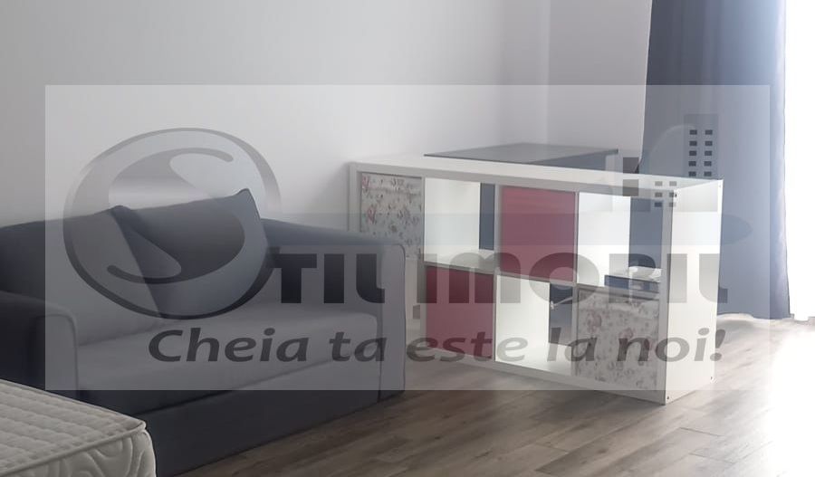 Apartament 1 camera Pacurari - 350 EURO - Poză 2