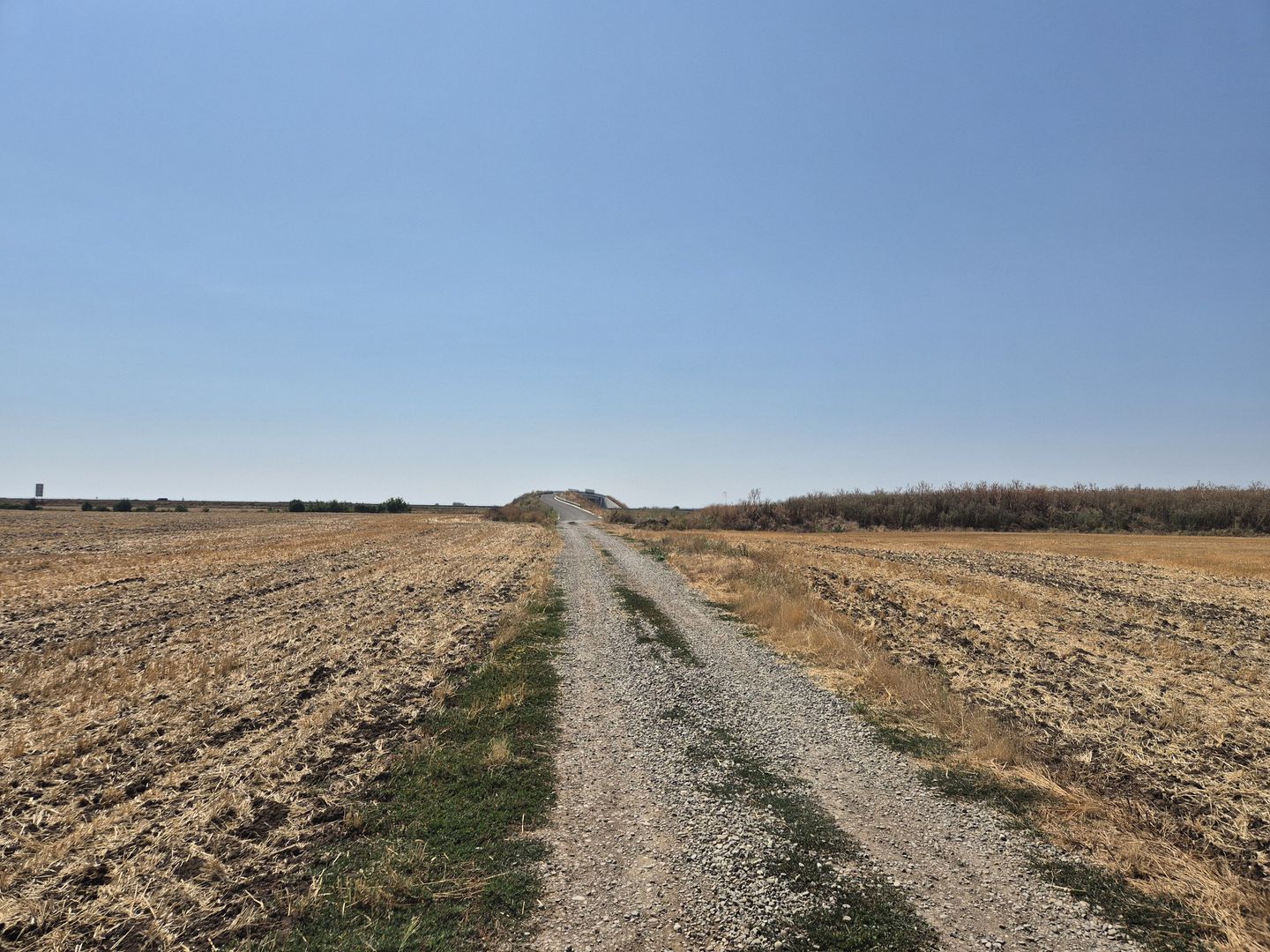 Teren intravilan 4428 mp - Balotesti - Poză 4