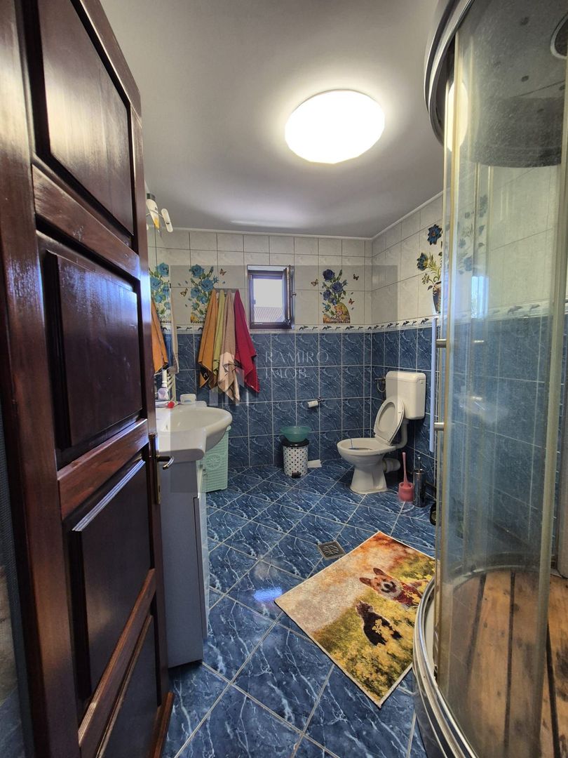 Casa + Magazin (P+1) Fundulea DN3 - Poză 11