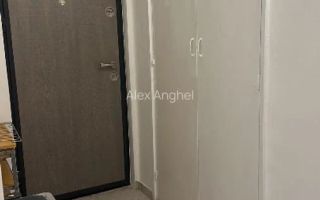 Apartament de inchiriat 3 camere zona Tineretului - Poză 11