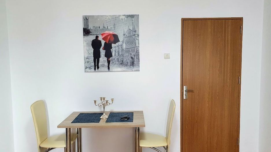 AP. 2 CAMERE DRUMUL TABEREI, MOBILAT/UTILAT, RENOVAT, COMISION 0% - Poză 3