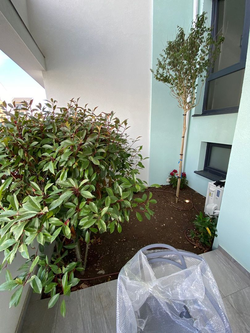 Apartament 3 camere - Dumbravita - Poză 4