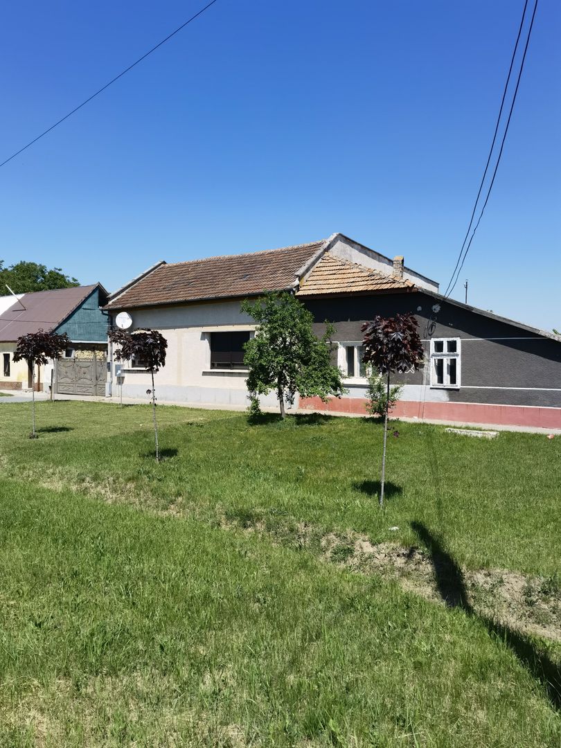 Casa ultracentral Periam - Poză 33