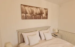 Vila spațioasă și recent renovată în Ghiroda! - Poză 41