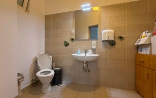 Grădina Icoanei – vilă cu potențial multiplu - Poză 14