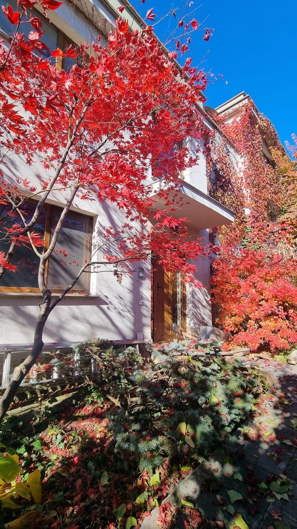 De inchiriat! Casă deosebita in Gruia, panorama spectaculoasa! - Poză 1